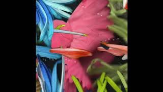 Isaac Solo - On Me (with Theo)