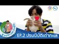 ลดโลกเลอะกับผลิต EP. 02 ปรนนิบัติเต่าทะเล