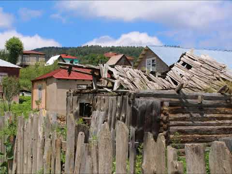 1999 წელს მიღებული კანონი