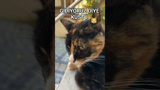 Seni Yerim Her Mesai Bitimi Gidiyoruz Diye Küsen Yaramaz