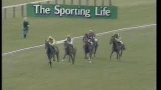 1984 Craven Stakes