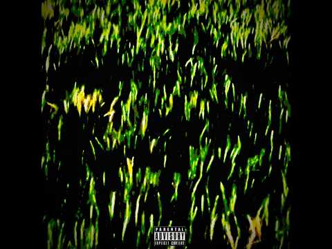JMo - Take It Slow (Lyric Visualizer)