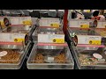 Bulk barn bulkbarn rothel13