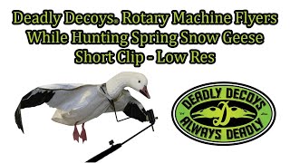 Deadly Decoy™ Rotary Machine Flyer