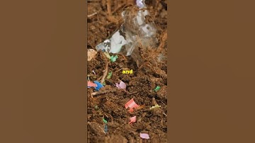 Microplastics Found in Human Brain Tissue! 😱