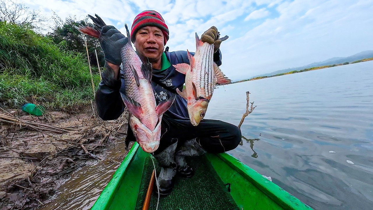 ยิ้มหวานเลยวันนี้ ยามปลาน้ำโขง หมานๆพี่น้อง