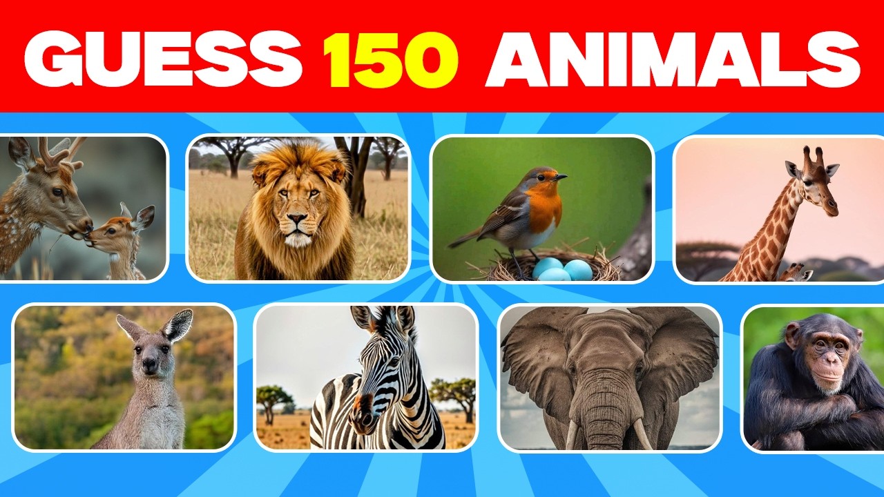 Guess 150 Animals in 3 Seconds | Easy, Medium, Hard, Impossible🐾⏳ - YouTube