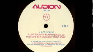 Audion - Just Fucking (Roman Flügel&#39;s 23 Positions In A One-Night Stand Remix)