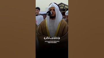 هدوء وسكينة وراحة نفسية في تلاوة آيات بينات من #سورة_السجدة بصوت القارئ الشيخ #حسن_الخولي
