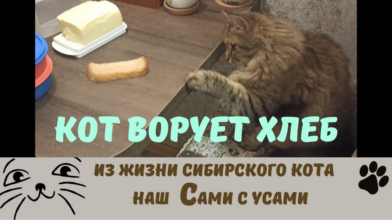 укради хлеб