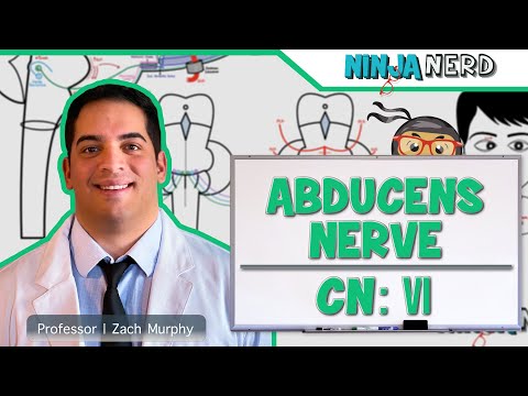 Neurology | Abducens Nerve: Cranial Nerve VI