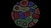 Cool Math Games Coloruid