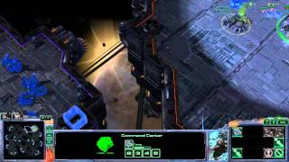 Starcraft 2 visual glitches