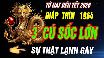 SỰ THẬT LẠNH GÁY Tuổi GIÁP THÌN 1964 đối diện 3 cú sốc lớn TỪ NAY đến tết 2026 CHƯA TỪNG TIẾT LỘ