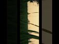 Nature cinematic video #shorts #editingo #editingo24