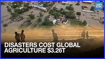Disasters Wipe Out $3.26 Trillion in Global Agriculture | FAO Report 2025