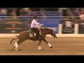 Clinton anderson and roll one smoke one 2022 cactus reining classic derby