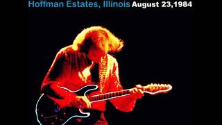 Neil Diamond Live In Illinois 1984 - Primitive,Turn Around &amp; Brooklyn on a Saturday Night