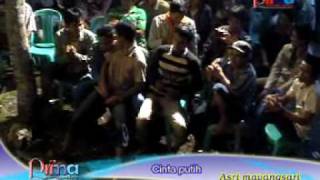 top one demak [cinta putih]