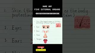 Name 5 Any EXTERNAL ORGANS | 5 EXTERNAL ORGANS