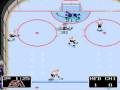NHL Playoffs: Stanley Cup Finals - Hartford Whalers vs Chicago Blackhawks