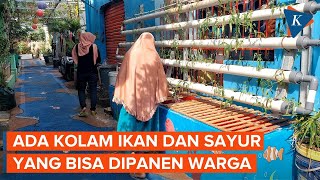 Uniknya Kampung Literasi di Klender, Tak Cuma Ajarkan Baca Tulis