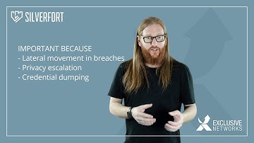 Elevator Pitch Silverfort