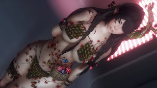 Skyrim SE: DX Morenn Outfit - BHUNP
