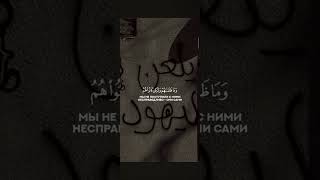 Ясир Ад-Даусари. (Сура-43) | Аз-зухруф |#islam ☪️