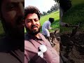Ape Banda sekh janada kha kha ke tokran#song #youtubeshorts