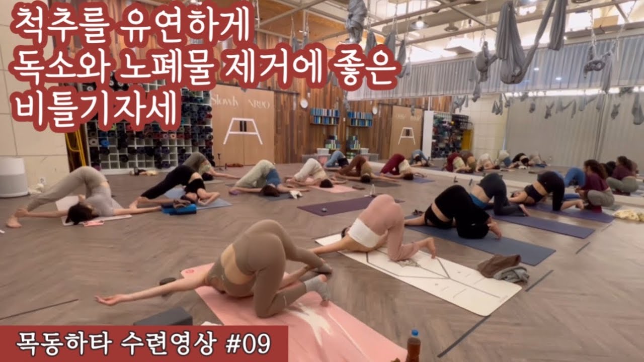 [엔젤요가] 목동하타 수업영상 #09 | 독소와 노폐물제거, 척추를 유연하게, 비틀기자세
