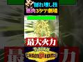 【隠し壊し技】メガミミロップの隠れ壊し技で3タテしてみたww【ポケモンチャンピオンズ】【ポケチャン】【うさごん】