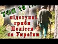 Топ 10. Підступні гриби Полісся та України