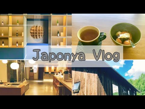 Video: Hokkaido'daki En İyi 10 Otel