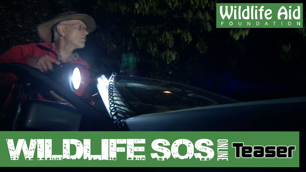 wildlife sos facebook Wildlife S.O.S. Special Episode Teaser
