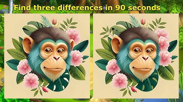 Quick Observation Challenge: Find 3 Differences in 90 Seconds | Task #18