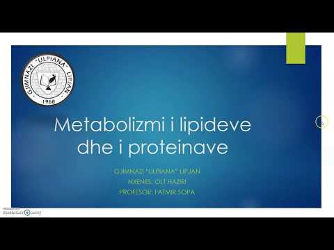 Metabolizmi i lipideve dhe i proteinave - Biologjia 11