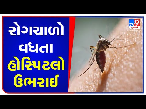 Ahmedabad witnesses rise in Mosquito-borne diseases | Tv9GujaratiNews