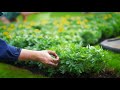 The Masters | Tended with care