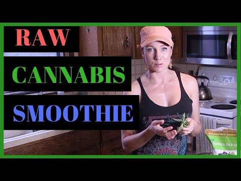 Video: Marijuana Raws Li Qhov Kev Cai Yog Tso Cov Tshuaj Yeeb Tsiaj Ua Tshuaj Thaum Laus So