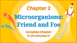 Class 8 Microorganisms Friend and Foe OneShot - Complete Chapter in 25 minutes !!! - LearnFatafat screenshot 5