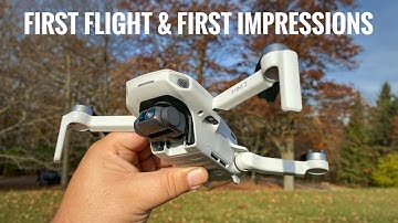 DJI Mini 2 First Flight & First Impressions
