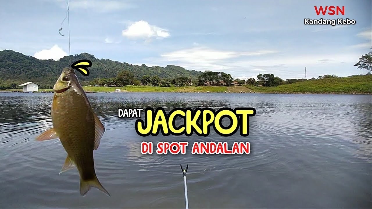 ADA FENOMENA ALAM DI SPOT INI ‼️ || Spot Kandang Kebo || Waduk Selorejo Ngantang