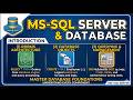 MS SQL Server Full Introduction 💻 | Database Tutorial for Beginners