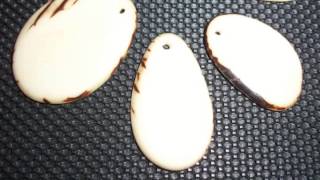 Tagua On Black