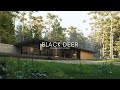 Casa Suspensa Minimalista De 280 M² Moderna e Sofisticada  | Black Deer | D5 Render