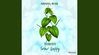 Nobody