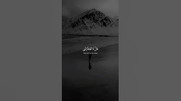 قال لا تخاف أنني معكما اسمع و ارى #القران #قرآن_كريم #تلاوة #الله #تلاوات #islam #quran
