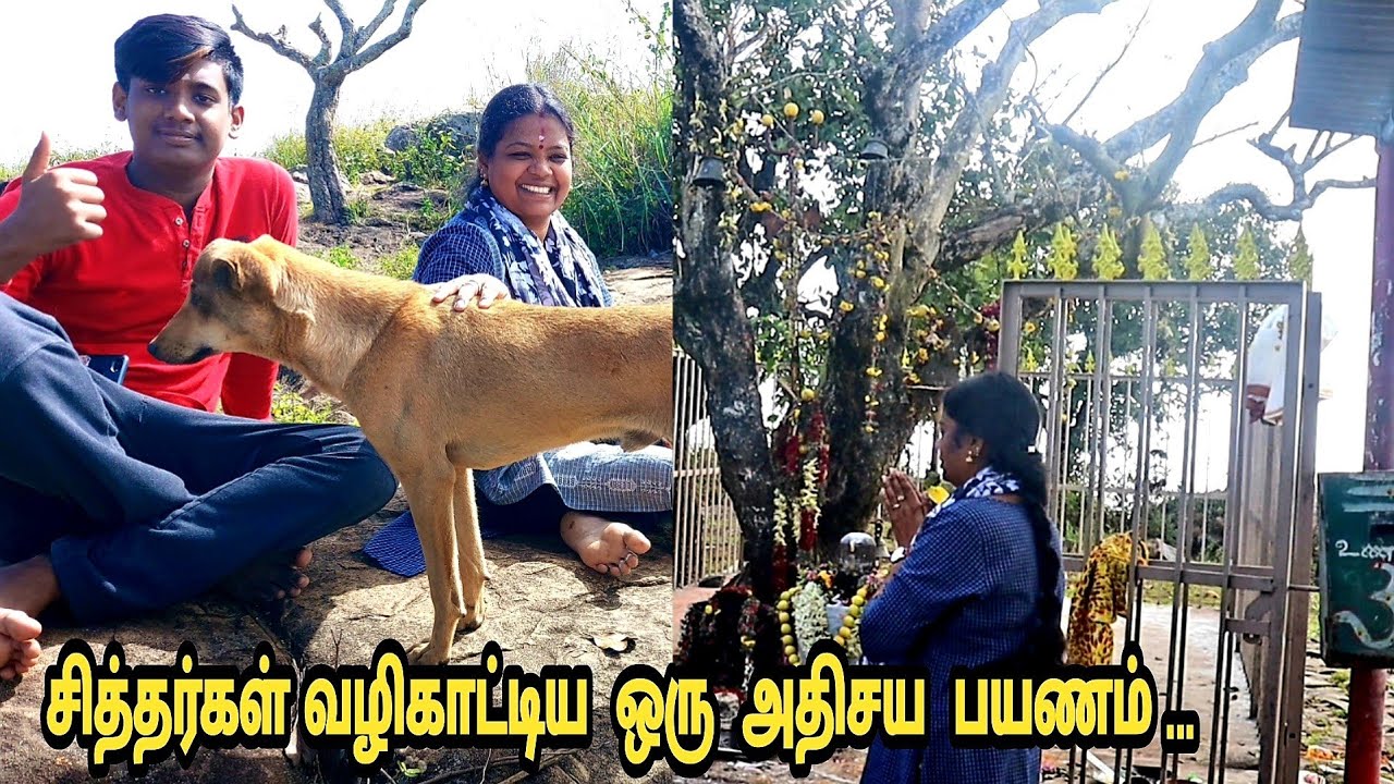 நாய்கள் வடிவில் சித்தர்கள் வழிகாட்டிய 500 வருட பழமையான சிவன் கோவில் பயணம்/ with Sivani's Family