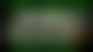 So I installed some mods for Fallout3